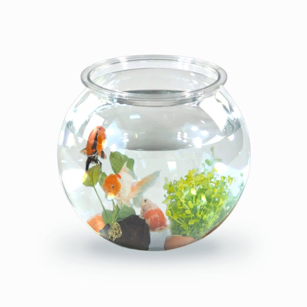 Petit aquarium rond | PET eco | 4L | Petits poissons | Nettoyage facile | 20x20x17,5cm | Jardin aquatique | Nemo | Mobiclinic