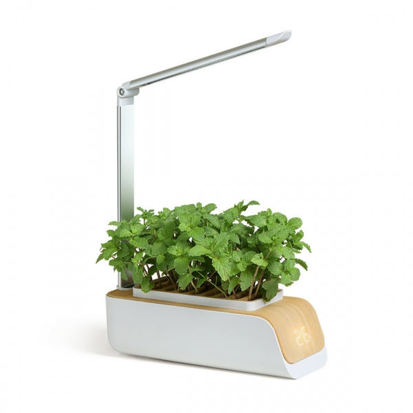 Jardin urbain intérieur | LED automatique | Culture sans lumière naturelle | Hauteur et angle réglables | 4,5 W | Commande tactile | Rappel d'eau | Idéal pour les petits espaces | Durable | Mini-culture | Mobiclinic